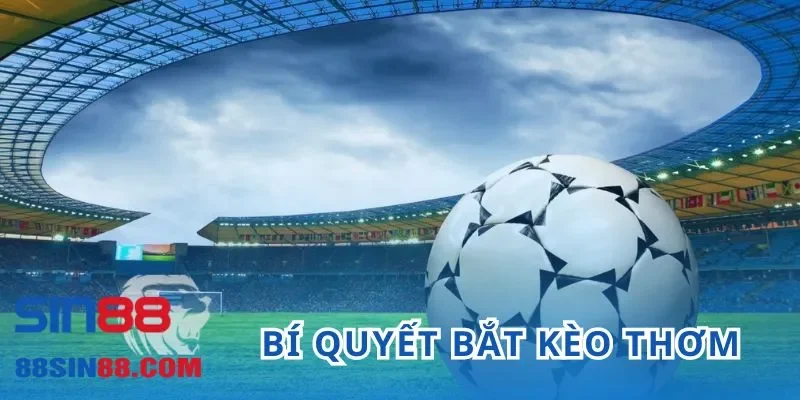 Kèo Thơm - Bật Mí Top 4 Cách Nhận Biết Chuẩn Như Cao Thủ 5 Bí quyết bắt kèo thơm