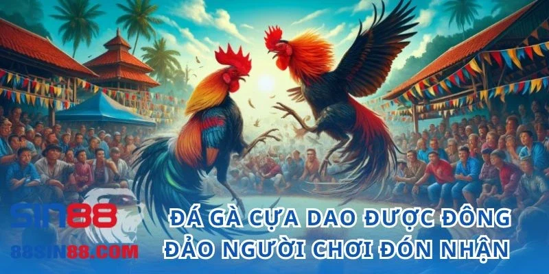 Tổng Hợp Các Kinh Nghiệm Đá Gà Cựa Dao Chất Lượng Tại SIN88 1 Đá gà cựa dao được đông đảo người chơi đón nhận
